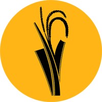 Festival Film Dokumenter logo - Similar company to Festival Film Dokumenter