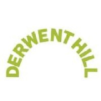Derwent Hill logo - Similar company to Stepney Bank Stables