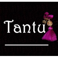 Varnatantu logo - Similar company to Damselcode