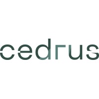Cedrus Solutions logo - Similar company to 4Elements