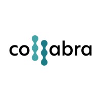 Collabra logo - Similar company to Collabra Technology