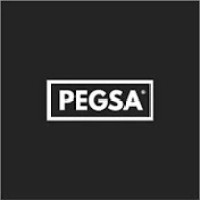 Pegsa Group logo - Similar company to Dg Experience