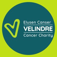 Velindre Cancer Charity logo - Similar company to Maxwell Genomics Fund