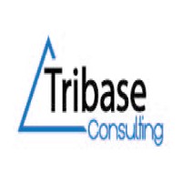Tribase Consulting logo - Similar company to Tribase Consulting (Ea)