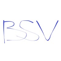 BSV CONSULTING LTD logo - Similar company to Bsv-Express