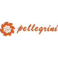 Pellegrini Sas logo - Similar company to Maestrelli S.R.L