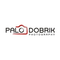 Palo Dobrik Photography LLC logo - Similar company to Latitude Chicago