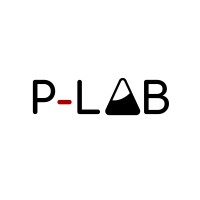 P-LAB Tech logo - Similar company to Improver Digital Technology