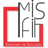 Misfit Solutions logo - Similar company to Digi-Borg