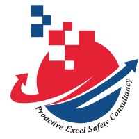 Proactive Excel Safety Consultancy logo - Similar company to Bidloft