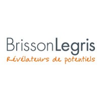 BrissonLegris logo - Similar company to M2D