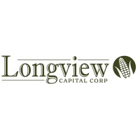 Longview Capital Corporation logo - Similar company to Mitga Tech Solutions Llc