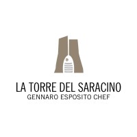 Torre Del Saracino logo - Similar company to Jco Group