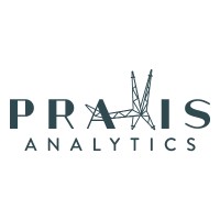 Praxis Analytics, LLC logo - Similar company to Vanguard Analytics