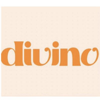 Divino Cozinha Industrial logo - Similar company to Divino Restaurants