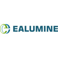EALUMINE logo - Similar company to Equable - Strategy Success Through Valuable Challenges Actionnable Insights Measurable Results