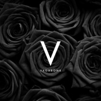 Vagabomb logo - Similar company to All About Eve India