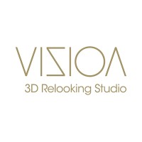 Vizion logo - Similar company to Meccabuild