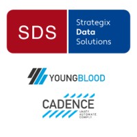 YoungBlood Consultants logo - Similar company to Strategix Technology Solutions