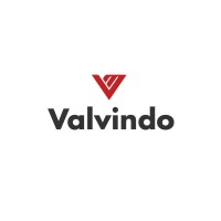 Valvindo logo - Similar company to Ct Advance Technology