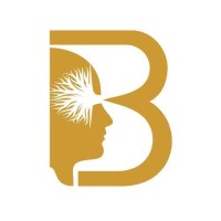 Bhudhi.com logo - Similar company to Better Colours