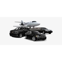 PRIVATE CHAUFFEUR SERVICES logo - Similar company to The Private Chauffeur