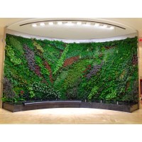 plantwalldesign