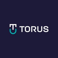 Torus Systems logo - Similar company to Software Yanami
