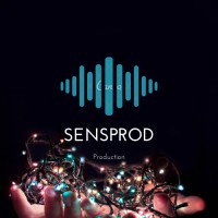 SensProd logo - Similar company to Kazakh American University
