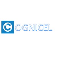 Cognicel Consultancy Services Pvt Ltd logo - Similar company to A Z Electronics