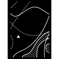 Tu'dese'cho Wholistic Indigenous Leadership Development logo - Similar company to Callison & Hanna, Indigenous Advocates