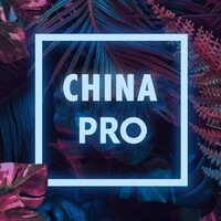 China Pro logo - Similar company to Chinapro Marketing Partners