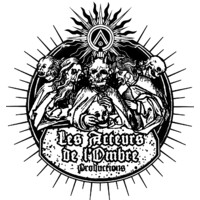 Les Acteurs de l'Ombre Productions logo - Similar company to Studio Petit Vélo Agence Web Bordeaux