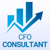 CFO Consultant logo - Similar company to Vanguardo+