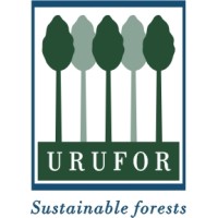 URUFOR - Red Grandis logo - Similar company to Lumin