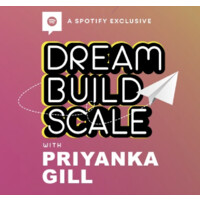 Dream Build Scale logo - Similar company to Decote