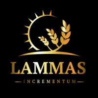 Lammas Incrementum logo - Similar company to Agm Group