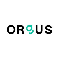 Orgus Consulting logo - Similar company to Digit'Aleo