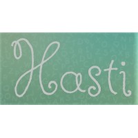 Hasti ( Wholesale Distributor) logo - Similar company to Havin Tejarat Iranian