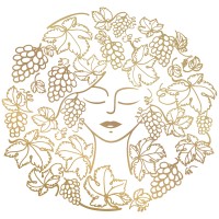 Altura Wines S.A. logo - Similar company to Autotecnus