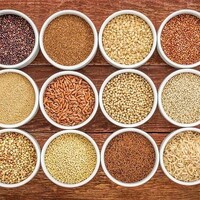 Namma Millets logo - Similar company to Mighty Millets