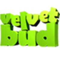 VelvetBud Technologies logo - Similar company to Arvat Tech Ltd