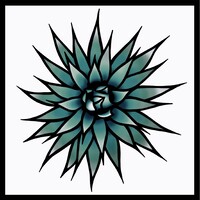 Don Rico Tequila logo - Similar company to Penta Tequila