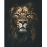 Rubicon Entertainment logo - Similar company to Rubicon Entertainment, Llc