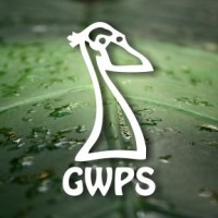 GWPS Szkoła Coachingu Moniki Zubrzyckiej-Nowak logo - Similar company to Praca50.Plus