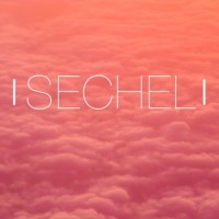 Sechel PR logo - Similar company to Wade Pr