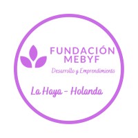 Fundacion MEBYF logo - Similar company to Viable Community