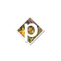 Pifany logo - Similar company to Pifany Uk Limited