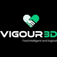 Vigour 3d logo - Similar company to Epic Digitization