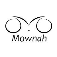 Mownah Tecnologia Da Informação - Ltda